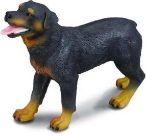 Rotaļlietu figūriņa Collecta Rottweiler 88189, 9 cm, brūna krās./melna krās.