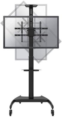 TV turētājs NewStar, 37-70", 50 kg