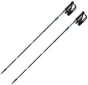 Kepikõnni kepp Nils TK8604, 38.5 - 135 cm