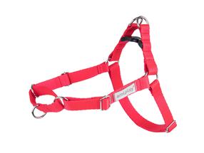 Petnešos šunims Amiplay Samba, raudona sp., 550 - 750 mm x 25 mm, 55-75