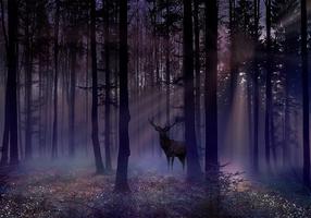 Фотообои Artgeist Mystical Forest, 210 см x 300 см