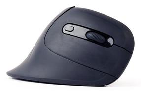 Belaidė kompiuterinė pelė Gembird MUSW-ERGO-03, juoda sp.