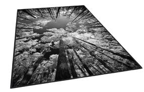 Kilimas vidaus Conceptum Hypnose ELS1902, juoda sp./pilka sp., 180 cm x 120 cm