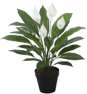 Dirbtinis augalas vazone Home4you, balta sp./juoda sp./žalia sp., 60 cm
