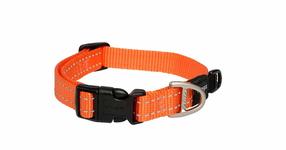 Ошейник для собак Rogz Utility Classic, oранжевый цв., 200 - 310 мм x 11 мм, 20-31