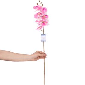 Dirbtinė gėlė, orchidėja AmeliaHome Faleni Rose, žalia sp./rožinė sp., 76 cm
