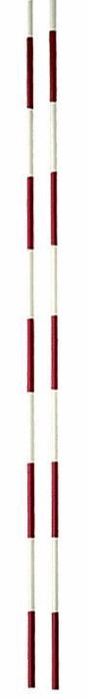 Tinklinio antena Pokorny-syte