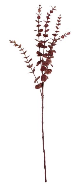 Dirbtinė šakelė, eukaliptas Splendid, bordo sp., 73 cm