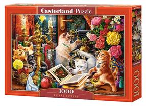 Dėlionė Castorland Wizard Kittens 1000 el. C-104857-2, 47 cm x 68 cm, 1000 vnt., įvairių spalvų