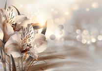 Fototapetas Artgeist Creamy Motif - Lily Flowers In Morning Glow On Striped Background 4XLFT692, 280 cm x 400 cm