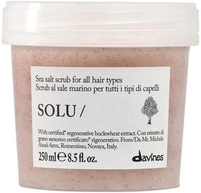 Kaukė plaukams Davines Solu, 250 ml