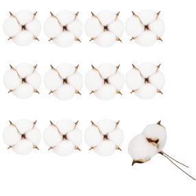 Eglutės žaisliukas Springos Cotton, ruda sp./balta sp., plastikas, 12 vnt.