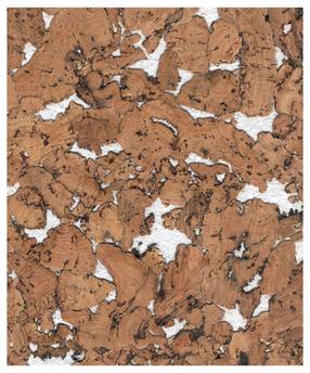 Kamštinė danga Corksribas Condor, 60x30x0.3 cm