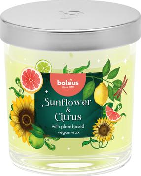 Svece, aromātiskā Bolsius Sunflower and Citrus, 25 h, dzeltena krās.