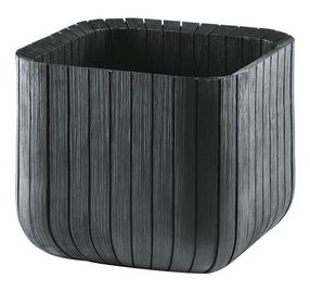Puķu pods Keter Cube Planter L, plastmasa, 39 cm, Ø 39 cm, pelēka krās.