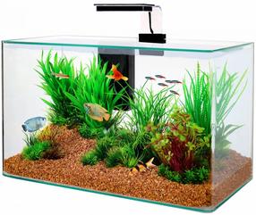 Akvariumas Zolux Clear Aqua Kit 309020, skaidri sp., su įranga, 32 l