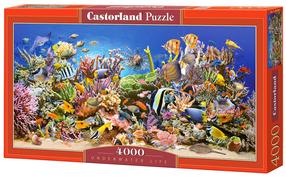 Dėlionė Castorland Underwater Life 4000 el. C-400089, 138 cm x 68 cm, 4000 vnt., įvairių spalvų