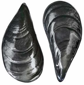 Serviravimo padėklų komplektas Hermia İstiridye, 27 cm, 14 cm, 2 vnt., Juoda sp.