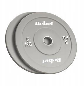 Diskinis svoris Rebel Beast RBA-2145-05, 2 x 5 kg, pilka sp.