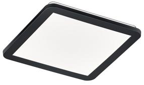 Šviestuvas lubų Reality Camillus, LED, 3000 °K, 1 x 16 W, balta sp./juoda sp. / juoda sp.