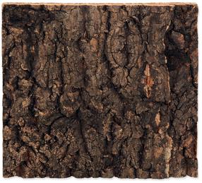 Dekoracija terariumui Repti Planet Background cork natural, 190 mm x 173 mm