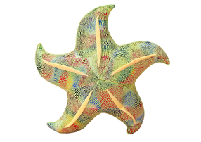 Pliušinis žaislas jūrų žvaigždė Pillow, žalia sp., 20 cm