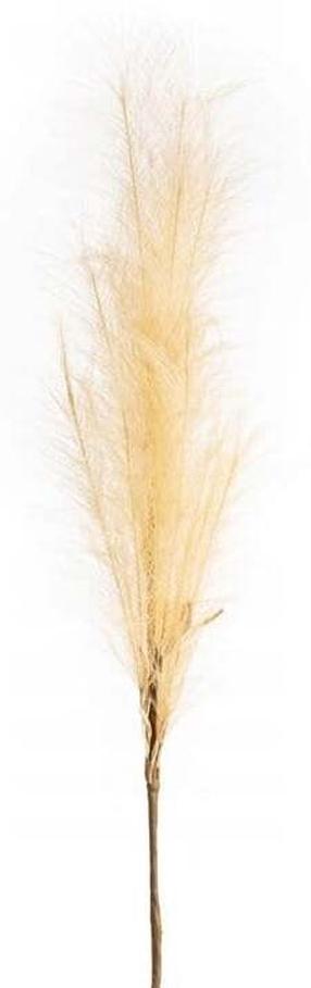 Mākslīgais zars Flore, zelta krās., 100 cm