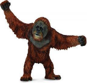 Žaislinė figūrėlė Collecta Orangutan 88730, 10.7 cm, ruda sp.