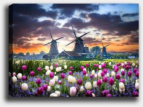 Reprodukcija Wallity, 529tcr1772, 70 cm x 50 cm