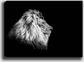 Foto paveikslas Wallity, 529tcr2103, 70 cm x 50 cm