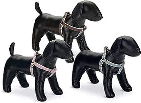 Petnešos šunims Beeztees Harness, ruda sp., 460 - 750 mm x 20 mm, L