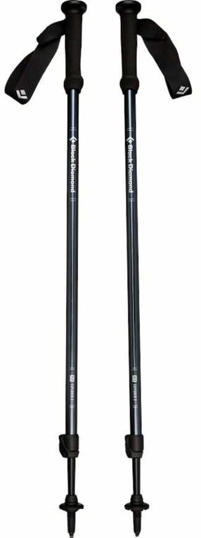 Nūjošanas nūja Black Diamond Explorer 2, 100 - 140 cm
