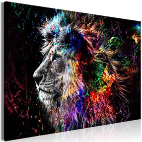 Reprodukcija Artgeist Crazy Lion KR42, 30 cm x 20 cm