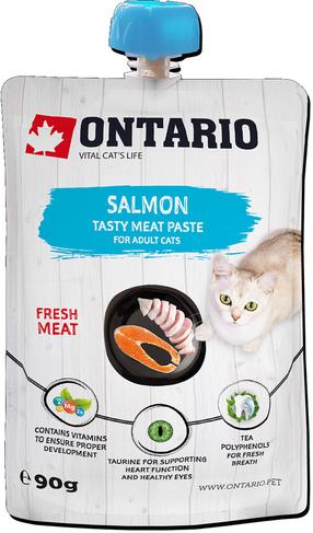 Skanėstas katėms Ontario Tasty Meat Paste Salmon, lašiša, 0.09 kg