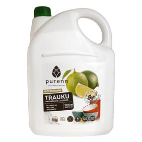 Trauku mazgāšanas līdzeklis Purenn Summer Song, 5 l