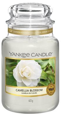 Žvakė, aromatinė Yankee Candle, 150 h, balta sp.