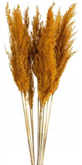 Mākslīgais zars, pampu zāle, oranža krās., 73 cm