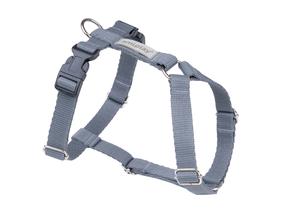 Petnešos šunims Amiplay Samba, pilka sp., 350 - 550 mm x 20 mm, 35-55