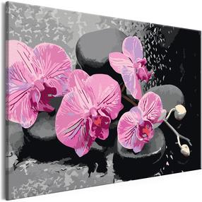 Glezna pēc numuriem Artgeist Orchid With Zen Stones (Black Background) MA_0127, 60 x 40 cm