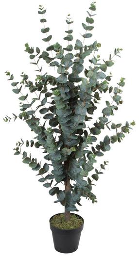 Mākslīgais augs podiņā, eikalipts Home4you Wind, brūna krās./zaļa krās., 120 cm