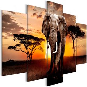 Reprodukcija Artgeist Wandering Elephant N7049-DKXXL, 225 cm x 100 cm