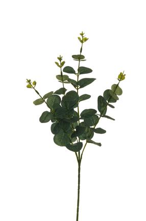 Dirbtinė šakelė, eukaliptas, žalia sp., 62 cm