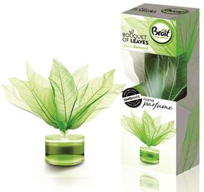 Домашний ароматизатор Brait Bouquet of Leaves Green Diamond, 50 мл