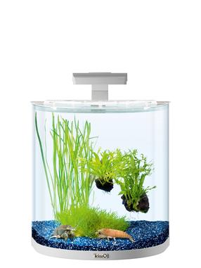 Akvariumas Tetra Explorer, balta sp., su įranga, 30 l
