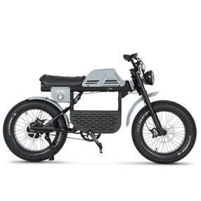 Elektrinis dviratis Ape Ryder 20 Gibbon, 1, 20", 250 W, 20 Ah, juoda sp./pilka sp.