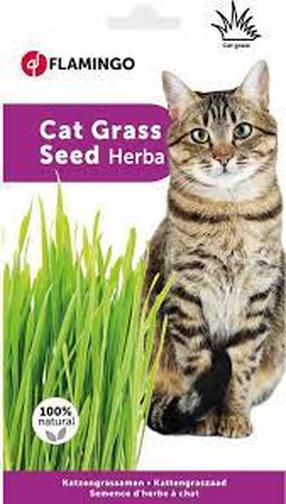 Zāle kaķiem Karlie Flamingo Cat Grass 08210, kaķumētra, 0.11 kg
