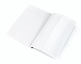 Aplankas Panta Plast 0302-0078-00, 55 cm x 31 cm, 10 vnt. Skaidri sp.