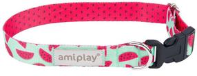 Antkaklis šunims Amiplay Be Happy, rožinė sp., 450 - 700 mm x 25 mm, 45-70