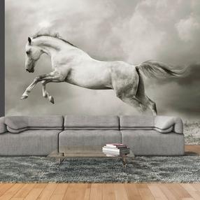 Fototapetas Artgeist Wild Stallion LFTNT0973, 154 cm x 200 cm