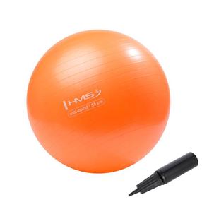Gimnastikos kamuolys HMS YB02N, oranžinė sp., 55 cm